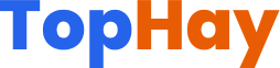 TopHay